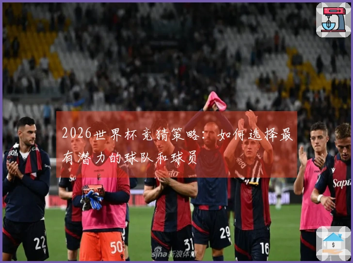 2026世界杯竞猜策略：如何选择最有潜力的球队和球员