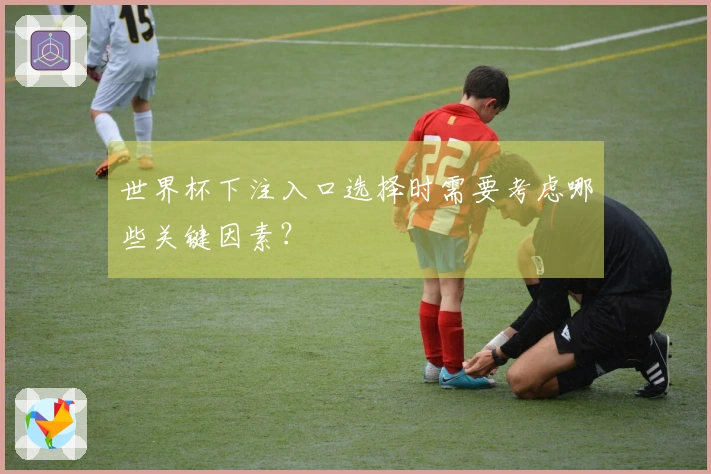 世界杯下注入口选择时需要考虑哪些关键因素？