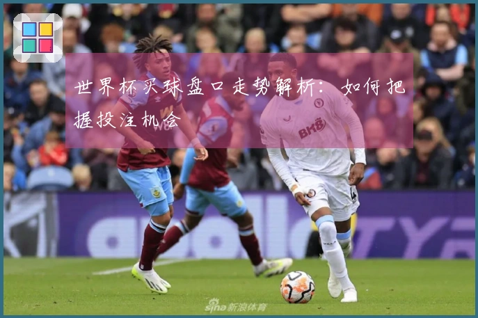 世界杯买球盘口走势解析：如何把握投注机会