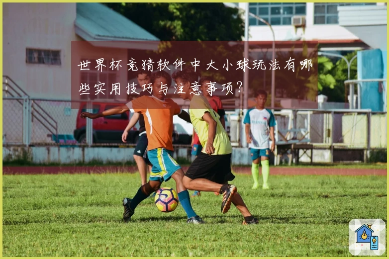 世界杯竞猜软件中大小球玩法有哪些实用技巧与注意事项？
