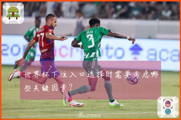 世界杯下注入口选择时需要考虑哪些关键因素？