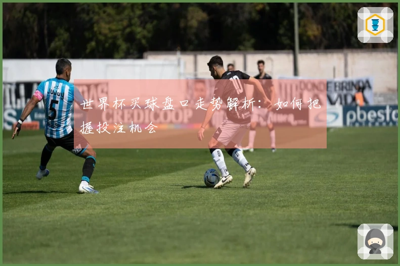世界杯买球盘口走势解析：如何把握投注机会