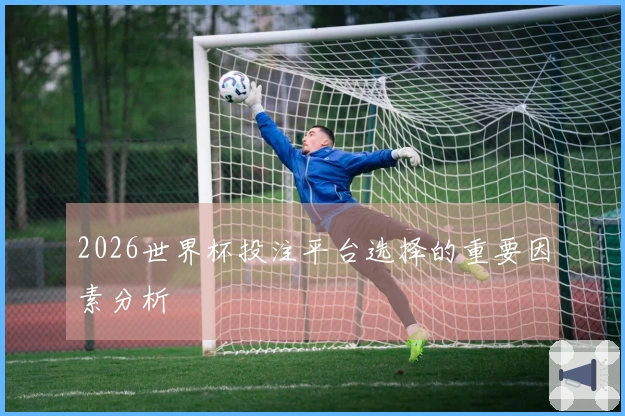 2026世界杯投注平台选择的重要因素分析